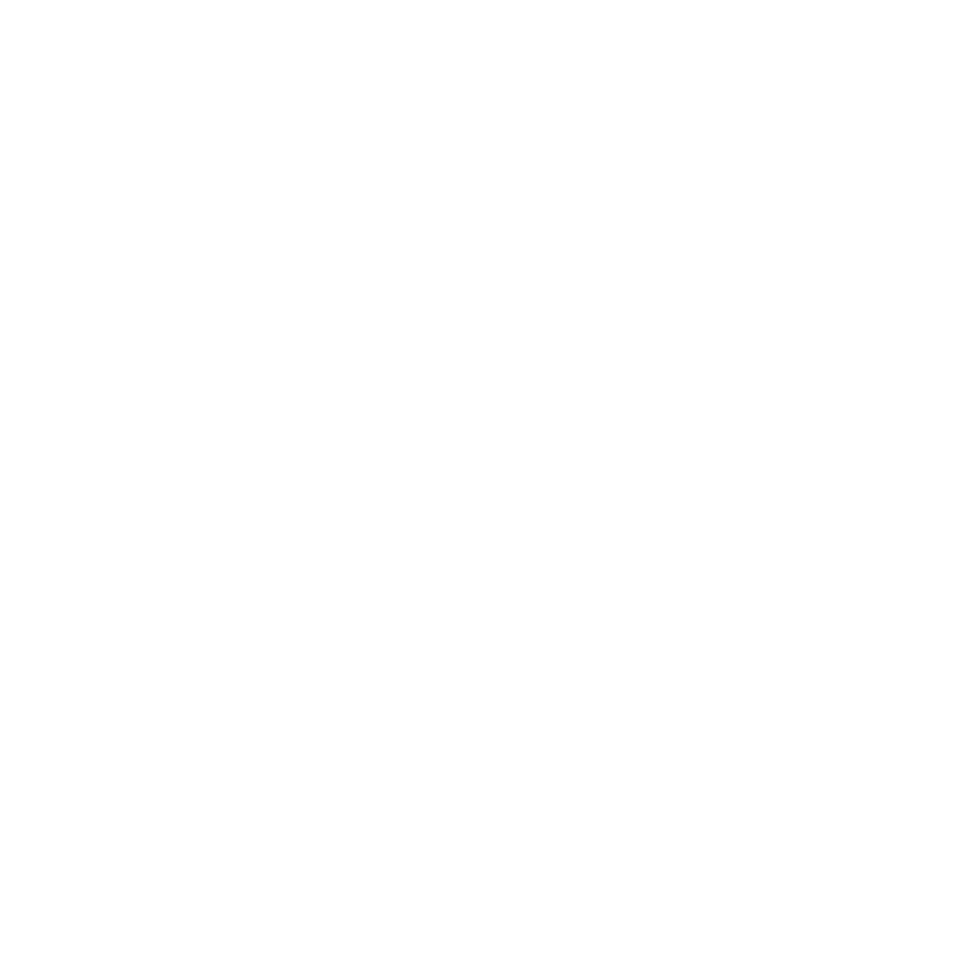 whatsappIcon
